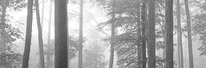 samuelerdahl's profile banner image