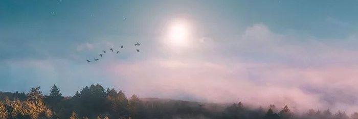 🦥 banner