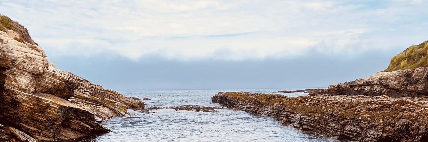 Cesar Rodriguez banner