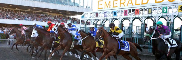 vincebemerald Profile Banner