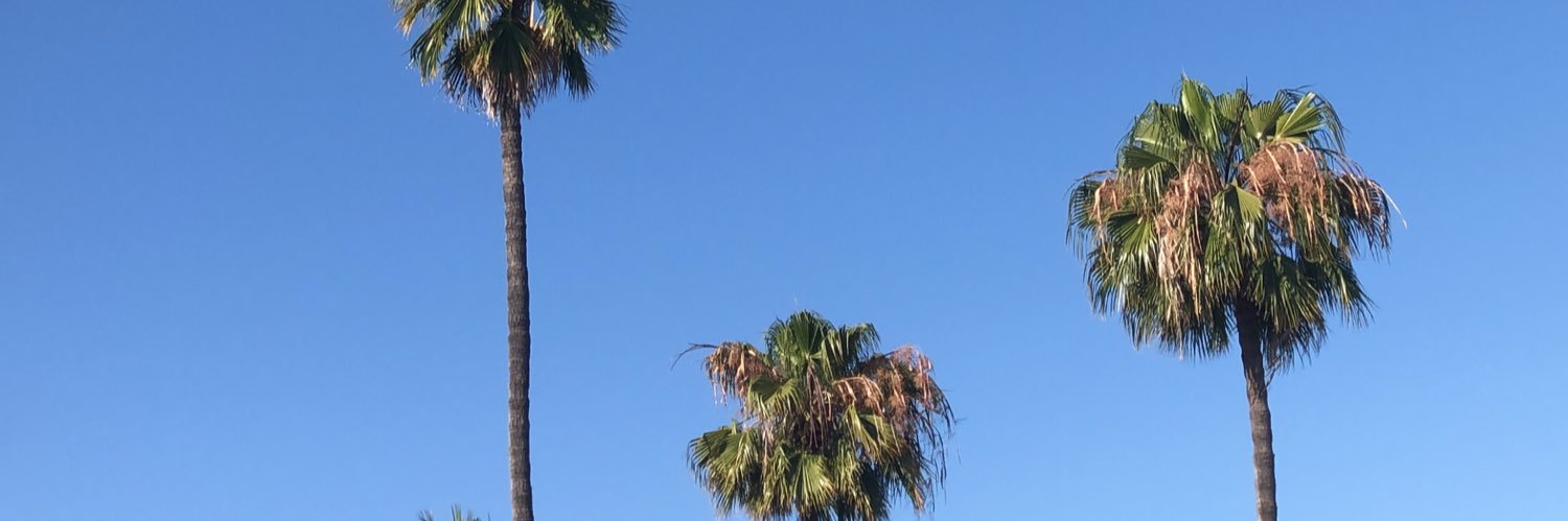 camilleanidi's profile banner image