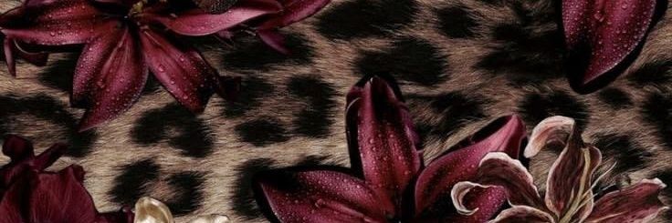 dear_qtz's profile banner image