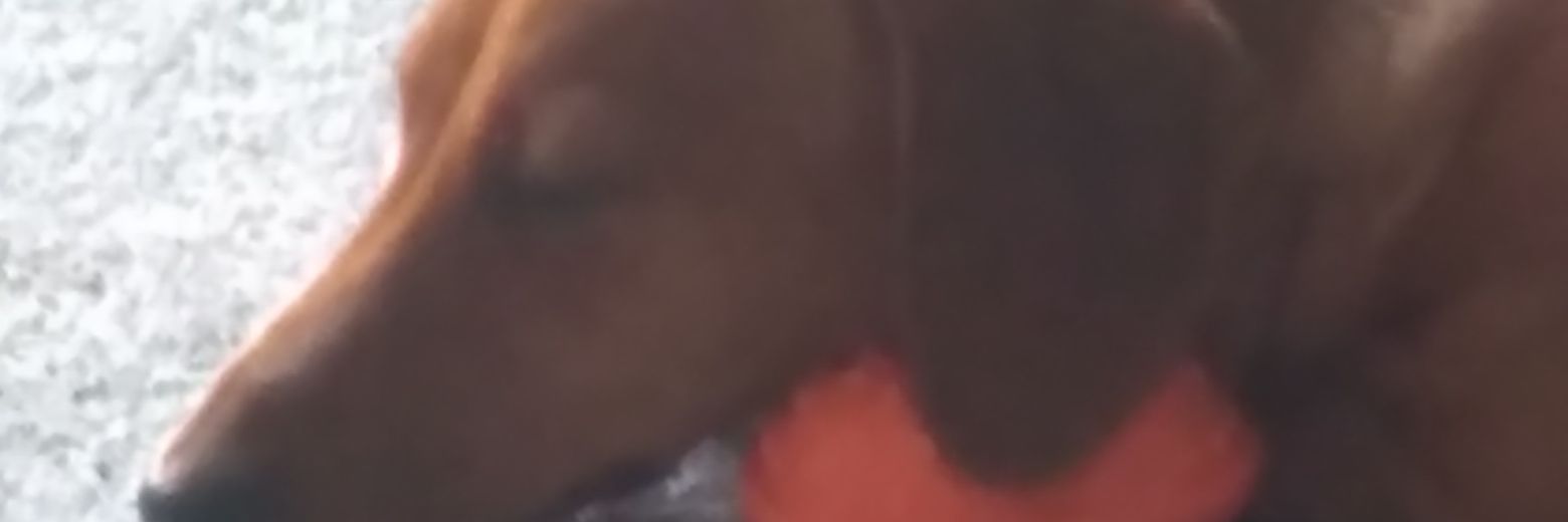 themaledaily's profile banner image