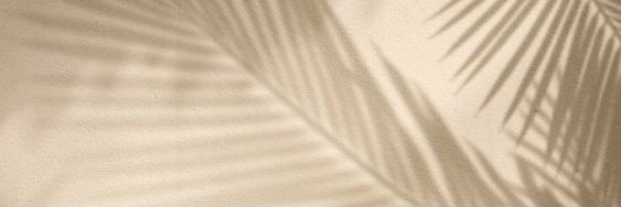 AliciaVerrando's profile banner image
