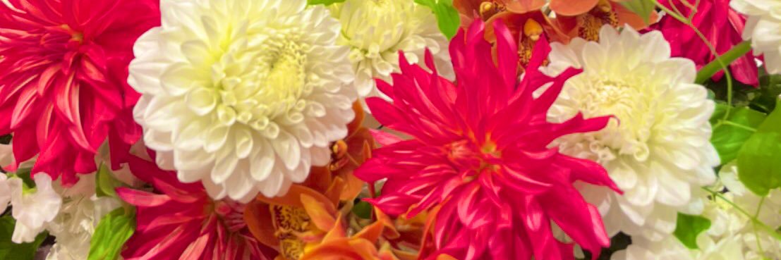 in_miwa's profile banner image