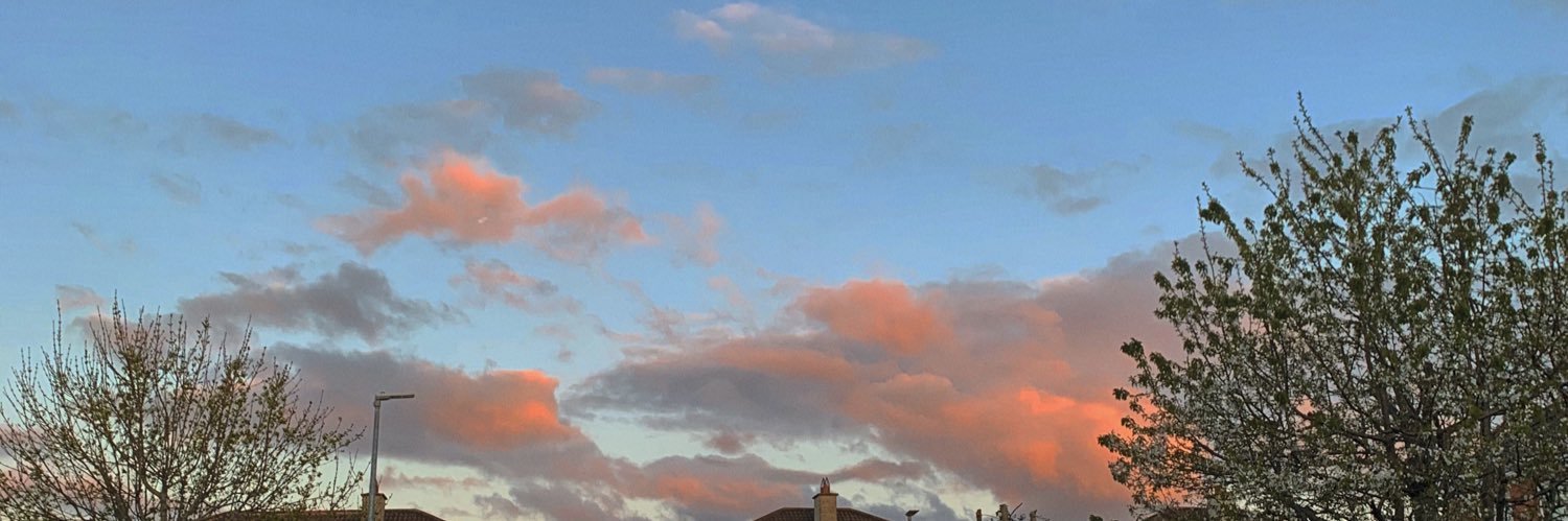 roisintolan's profile banner image