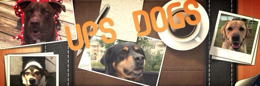UPS DOGS banner