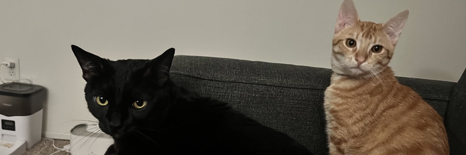 iamthatrat's profile banner image