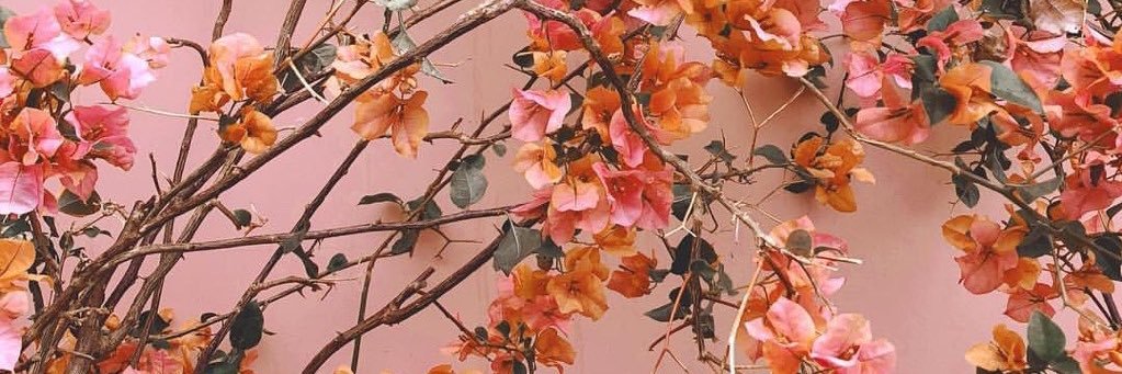 jess ⚡️❤️‍🔥 banner