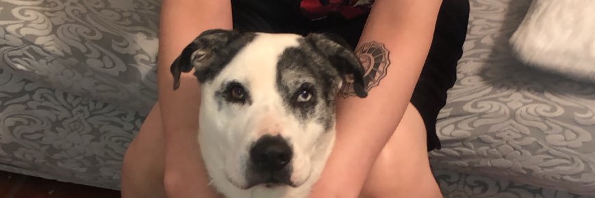 _ttonyy's profile banner image