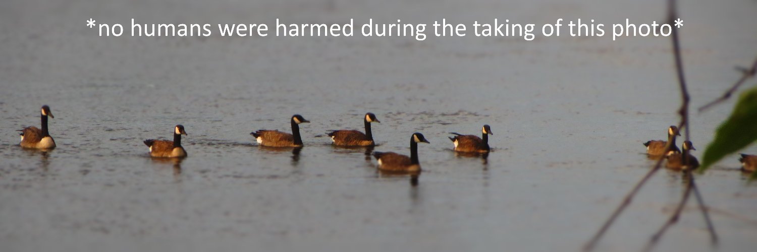 Emo Support Cobra Chicken🌎 banner