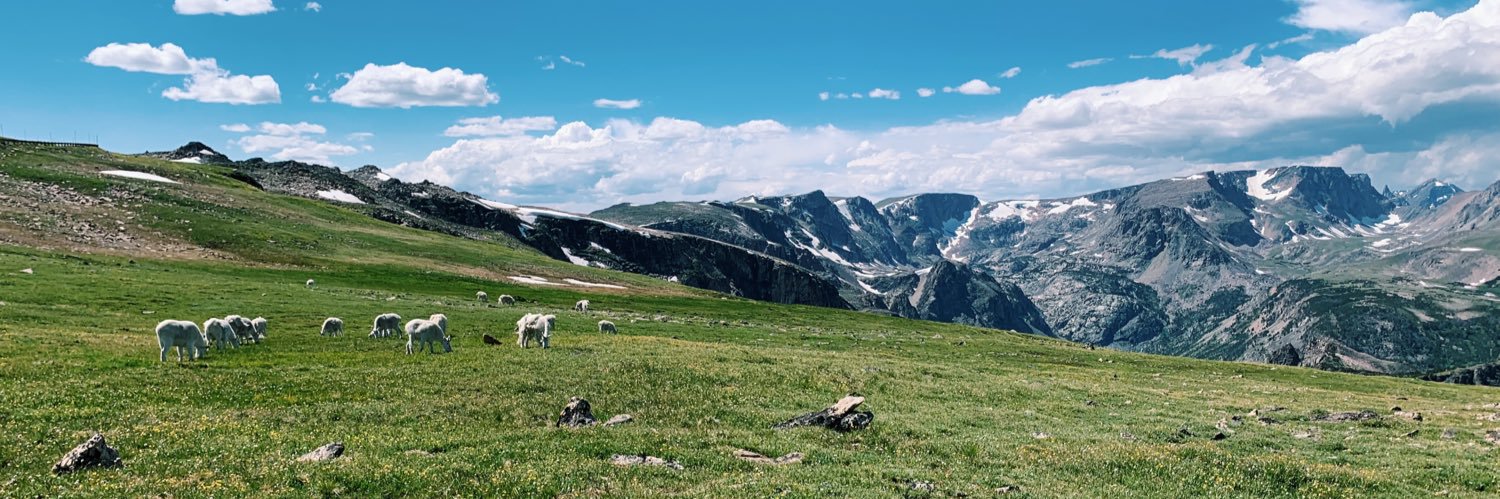 abbyzim's profile banner image