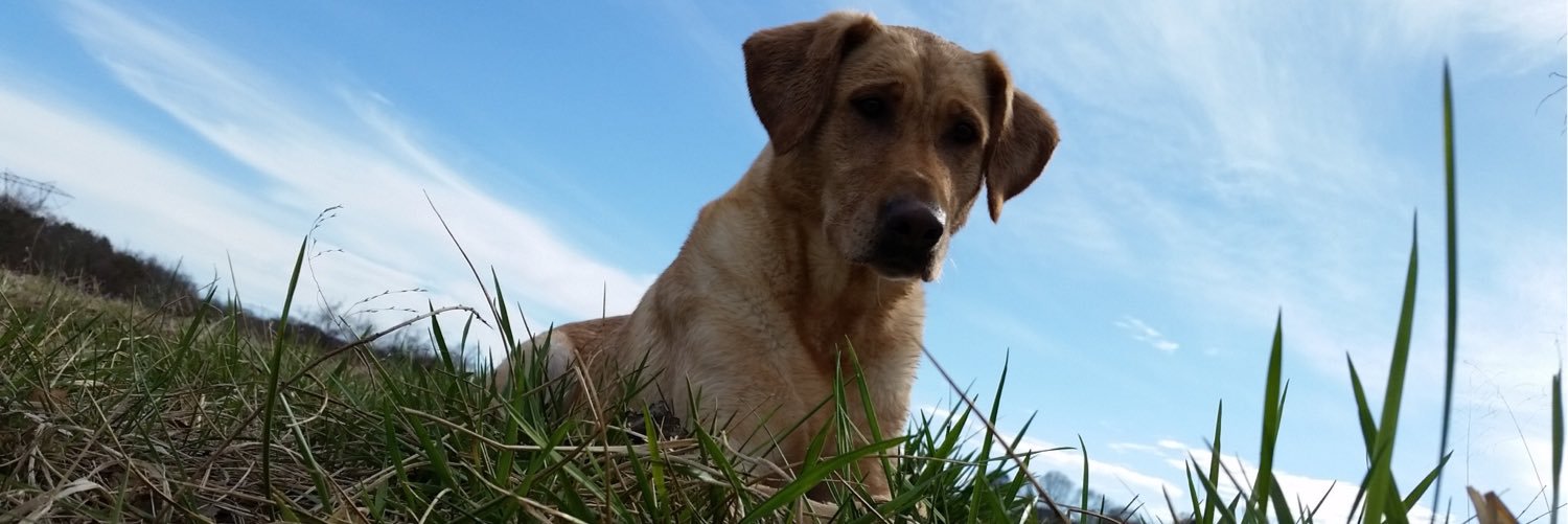 BKScripto's profile banner image