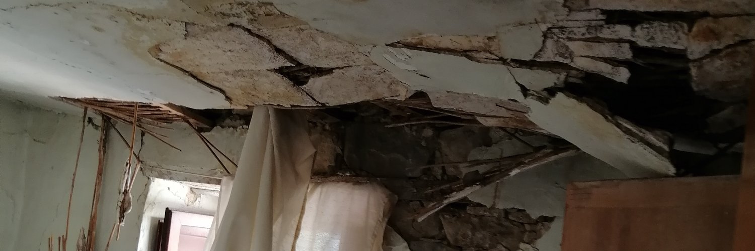 MonycaMarini's profile banner image