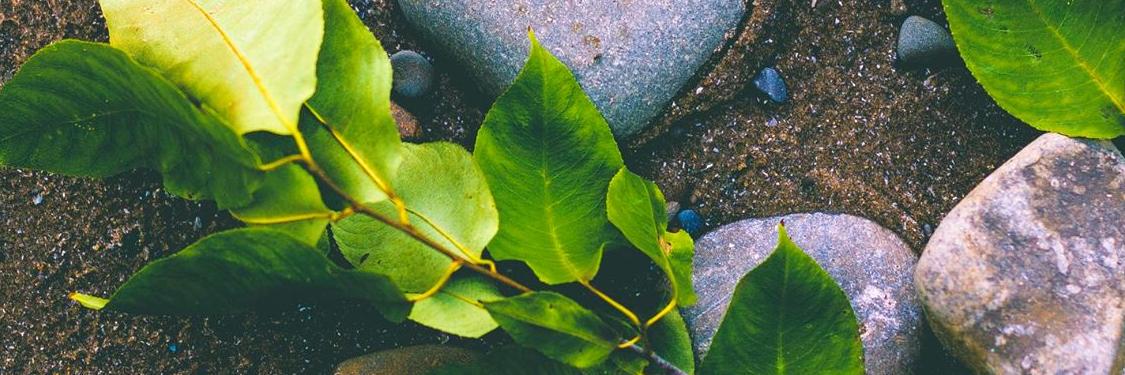 Sabribri_S's profile banner image