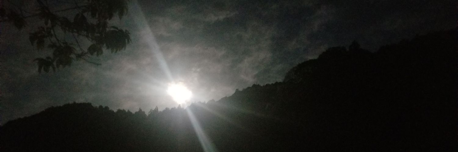 tomatoonion45's profile banner image