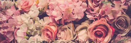 Ti_Violet's profile banner image