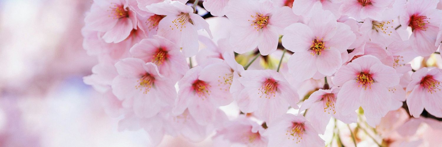 cheyenne_fern's profile banner image