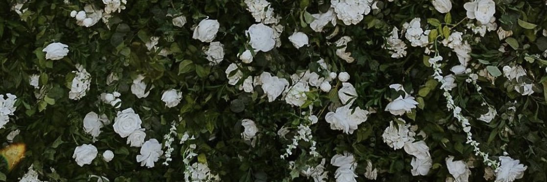 _llaurs_'s profile banner image