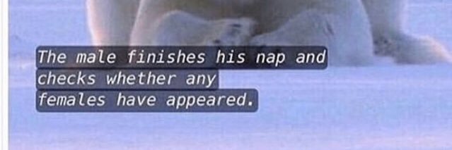Lellek🤠oder auch Lellev🥺oder auch Levent🥵soos🦆 banner