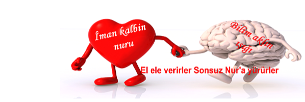 cepdersdin's profile banner image