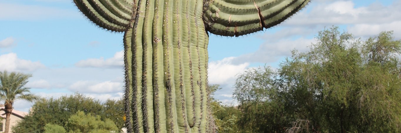 cnnhome's profile banner image