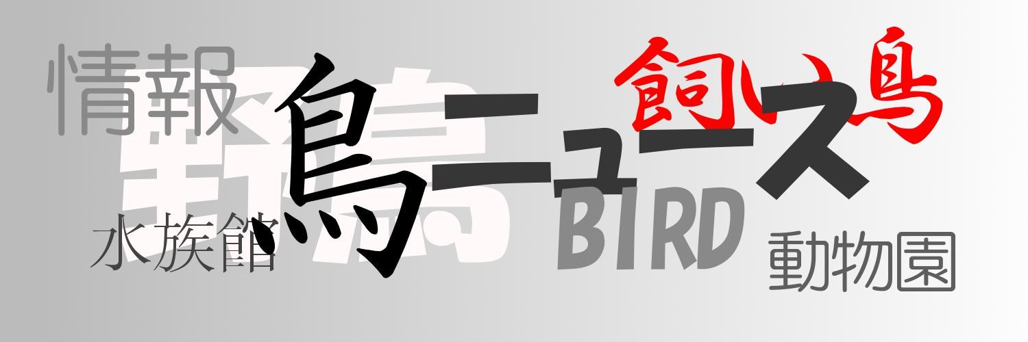 鳥類ニュース集積中's banner