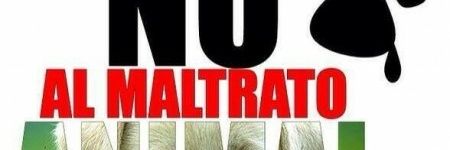 Lorenz AB ⭐❤✨ banner