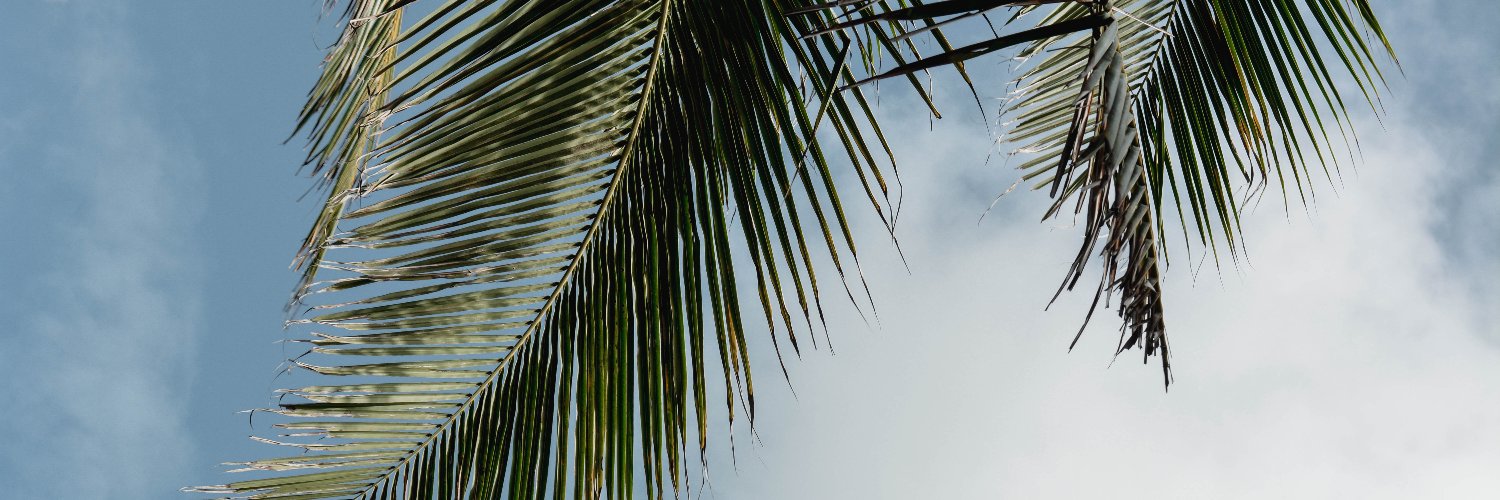 katelynkerins's profile banner image