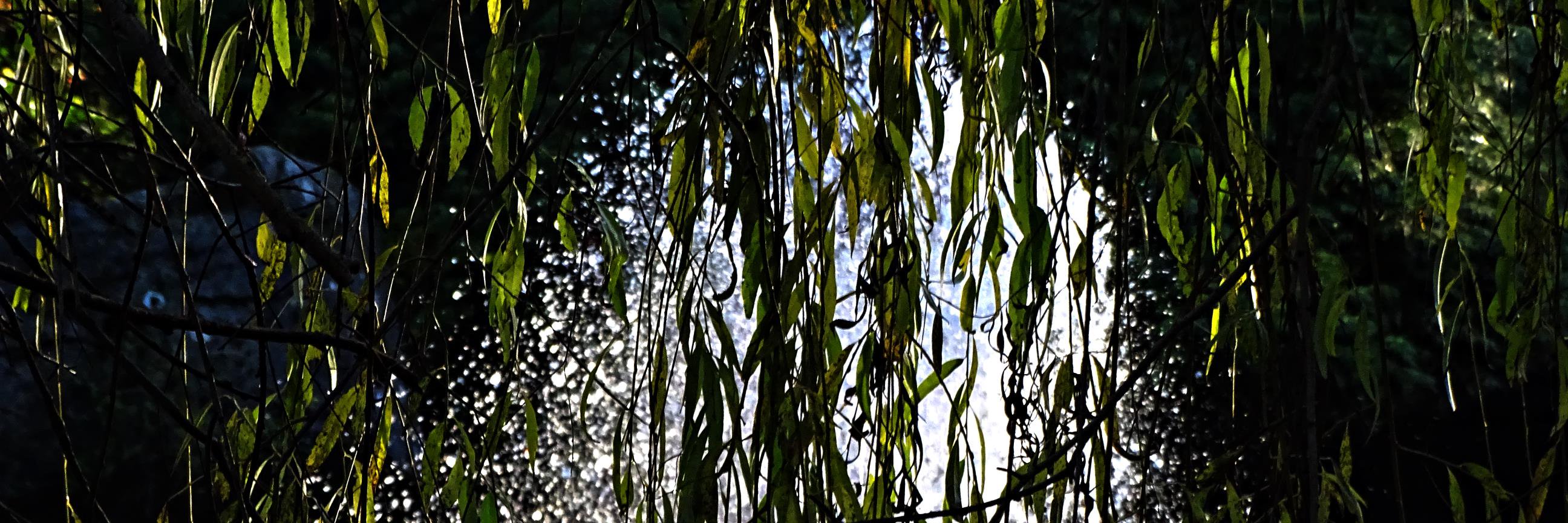 Melissa1183's profile banner image