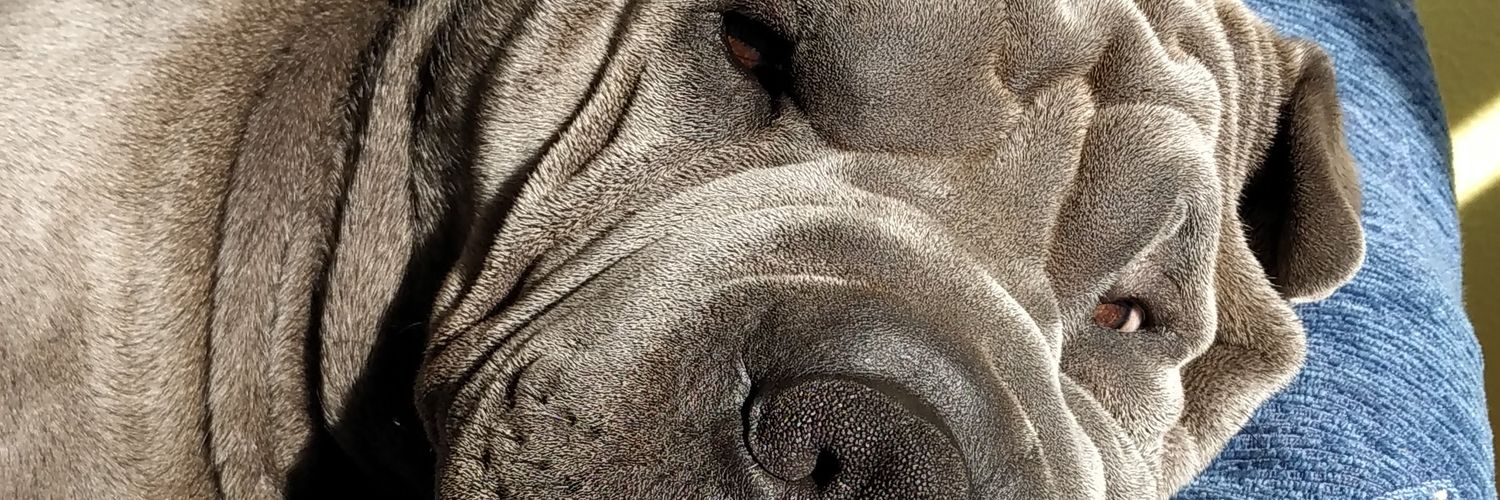Angelvaldes7's profile banner image