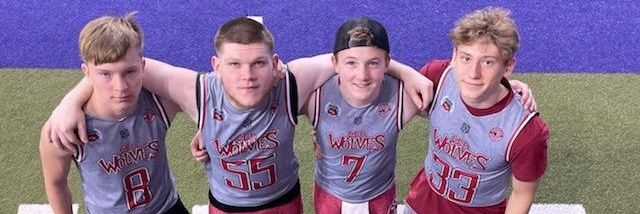 Brett Scheuler banner