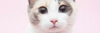 AndiMutmainah's profile banner image
