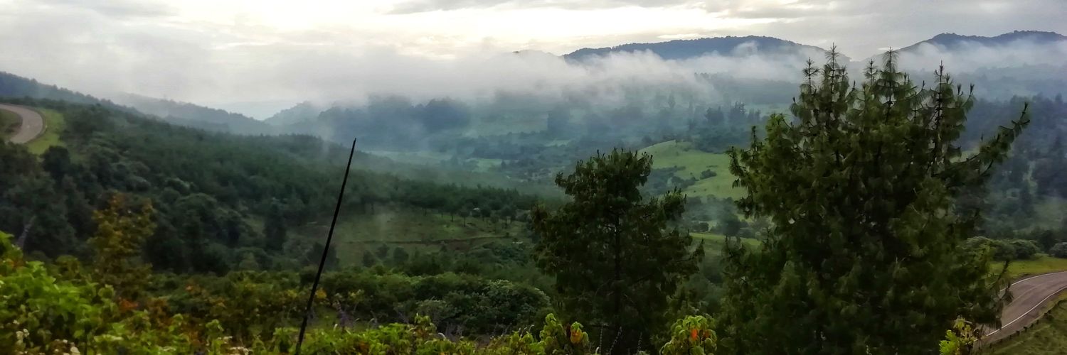 _arapkoech's profile banner image