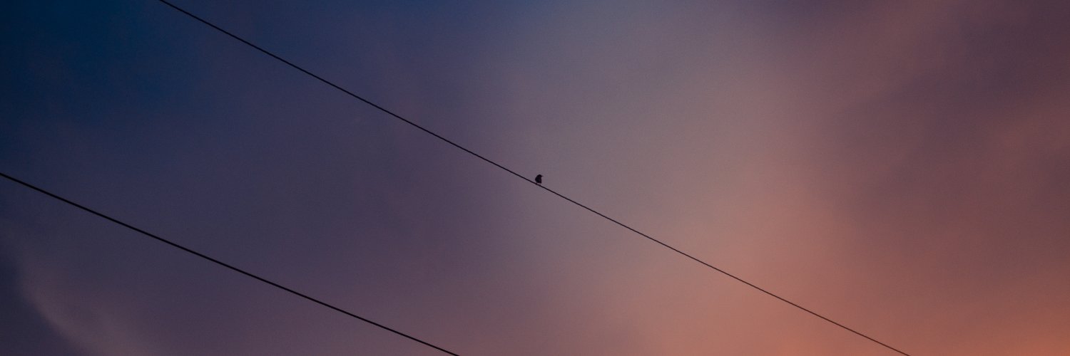 Dwitterrr's profile banner image