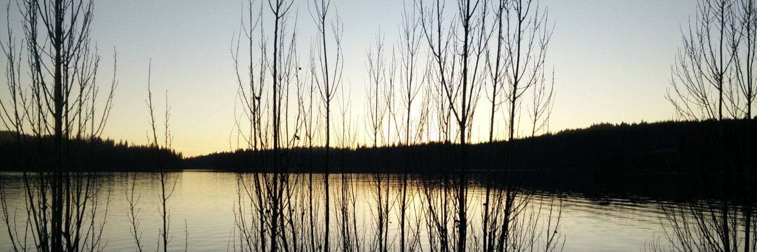 Hairless__Bear's profile banner image