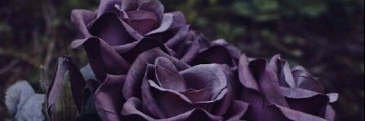 SimayYayalar's profile banner image