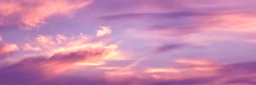 Roses_Bloomin's profile banner image