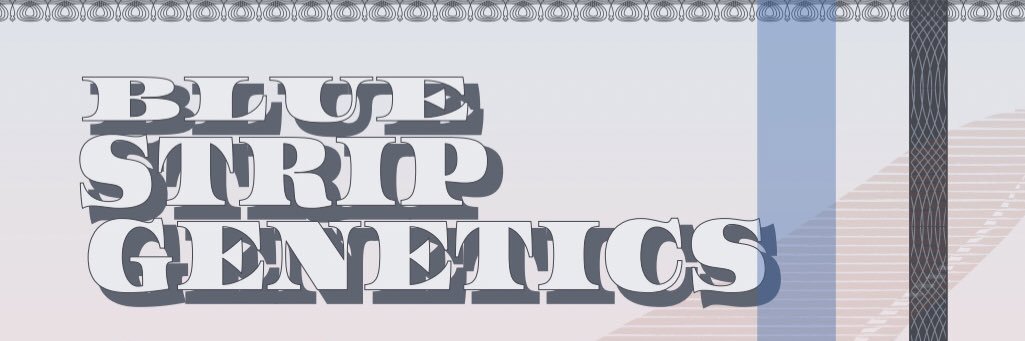 RealWillEasy's profile banner image
