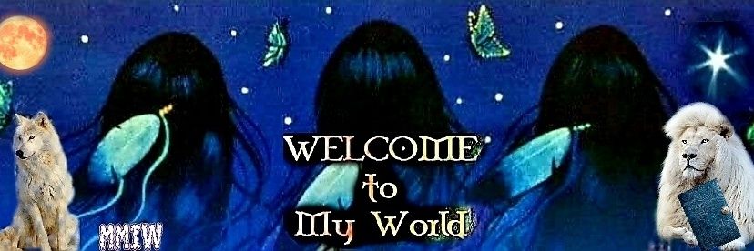 Spiritvision .🐺 banner