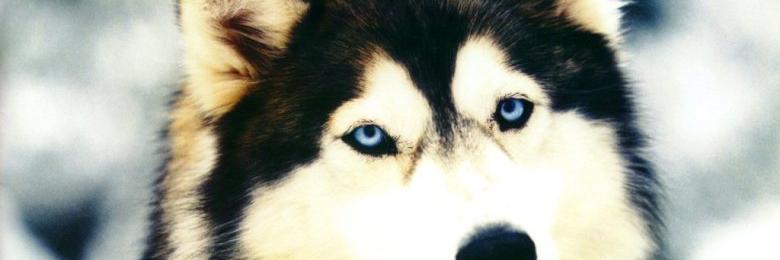 davi___22's profile banner image