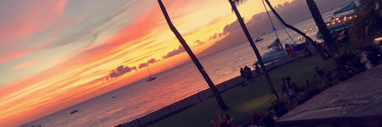 sydphillips8's profile banner image