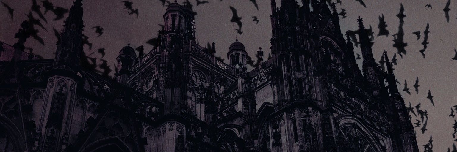 stalkerwolfdog's profile banner image