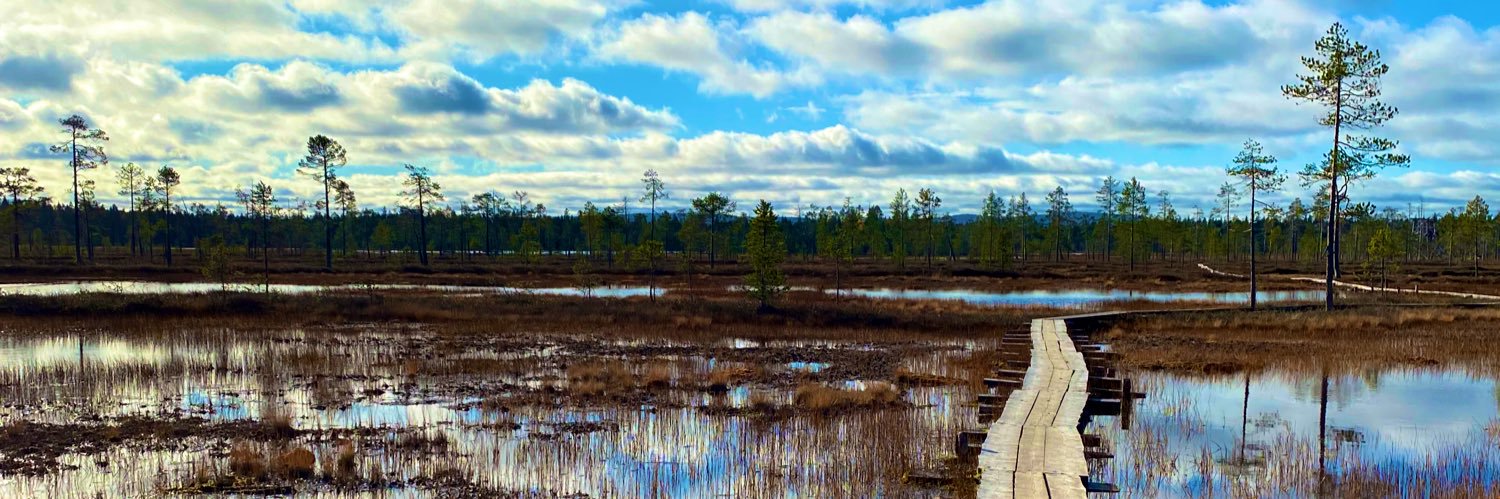 Matti Numminen banner