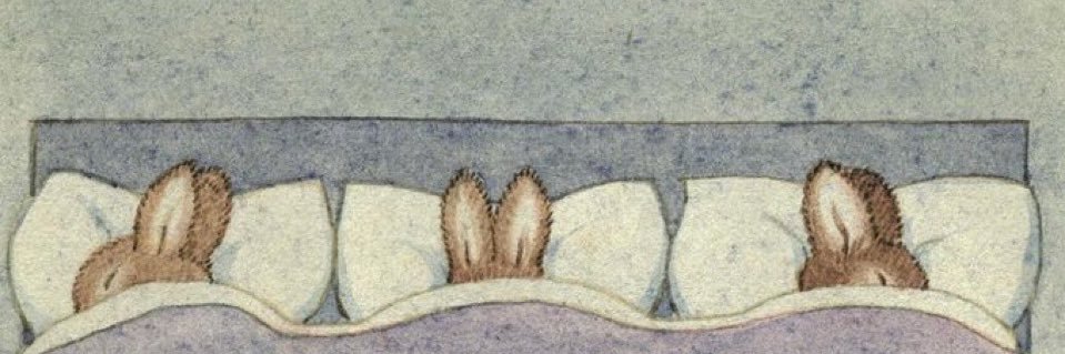 _alisonnp's profile banner image