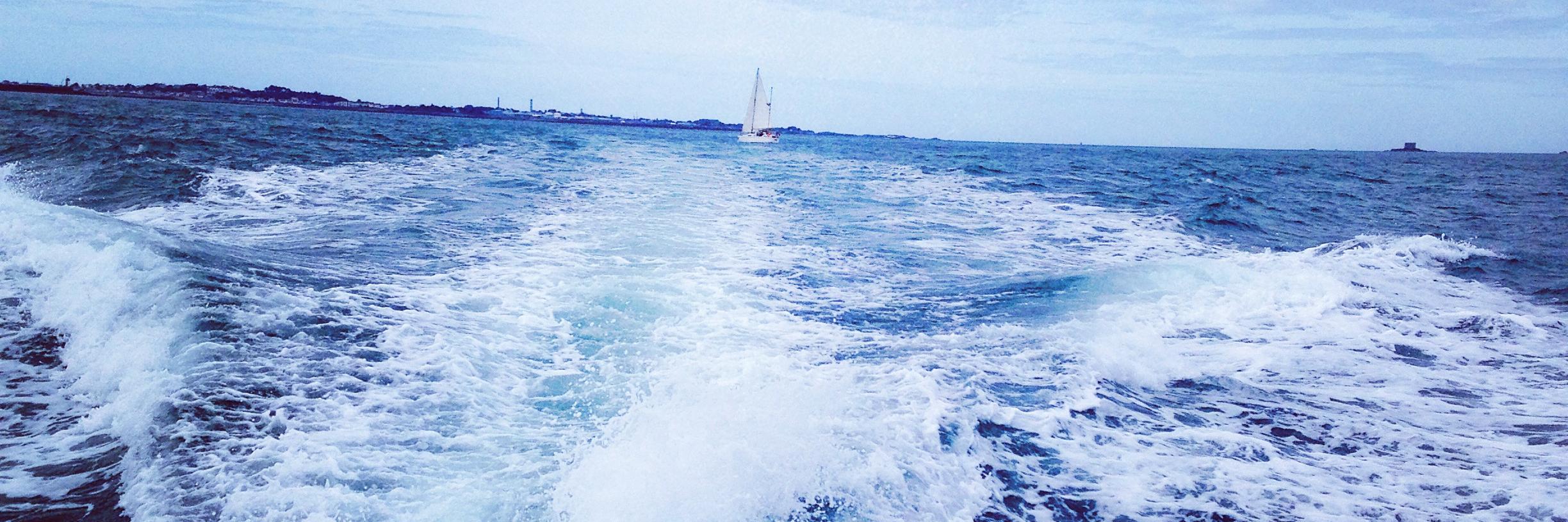 Jasmine Kelly banner