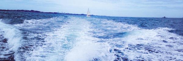 stealingsheeps Profile Banner