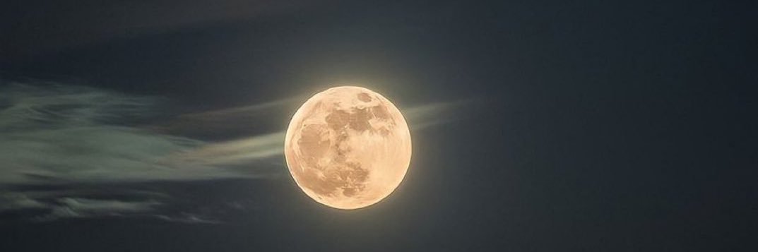 jose_cacho's profile banner image