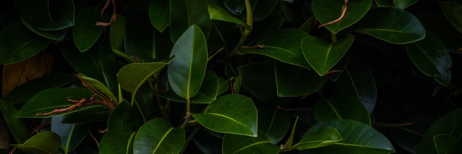 Cahtomusic's profile banner image