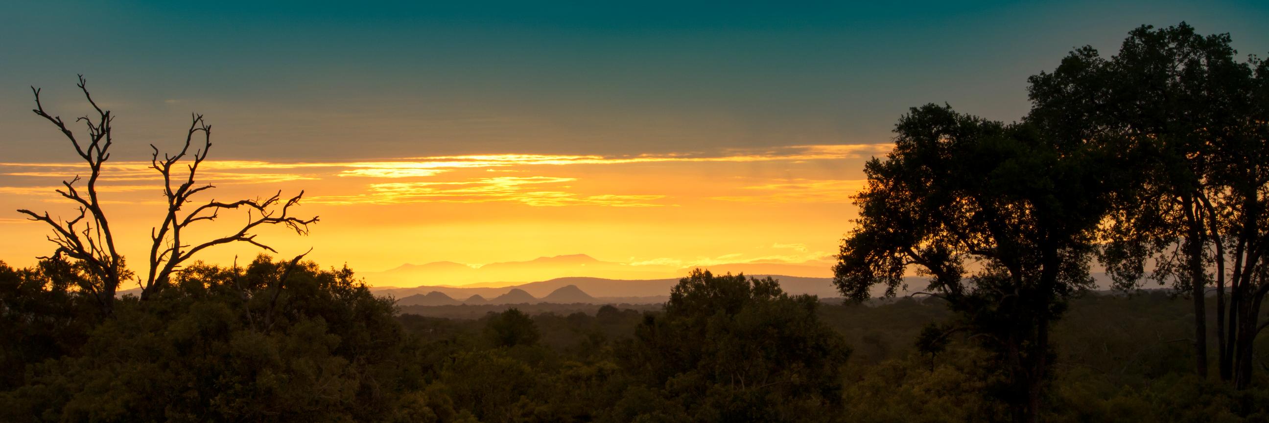 BTJoubert's profile banner image